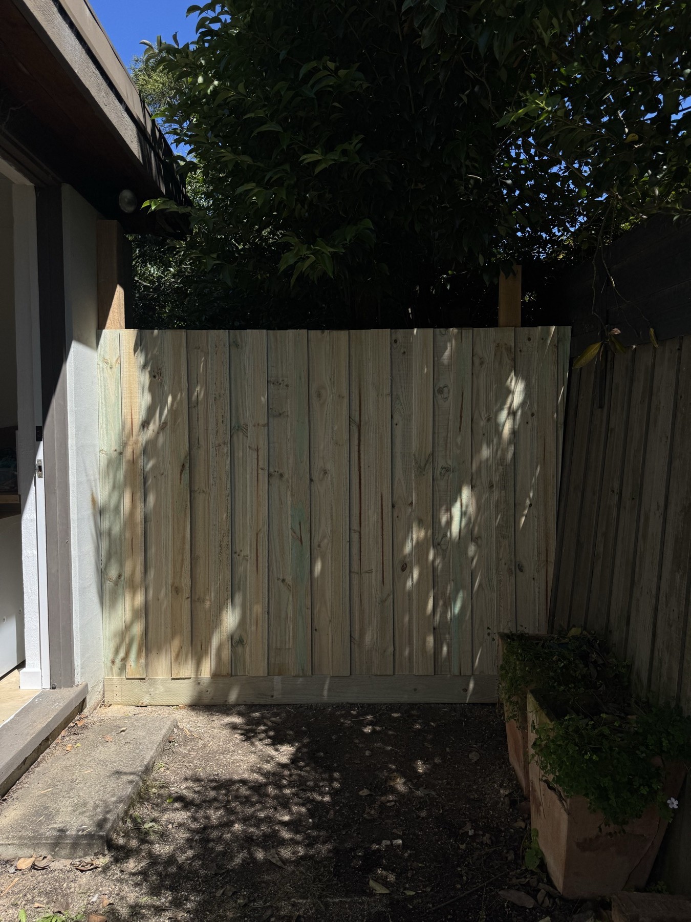 Timber fence enclosing a courtyard